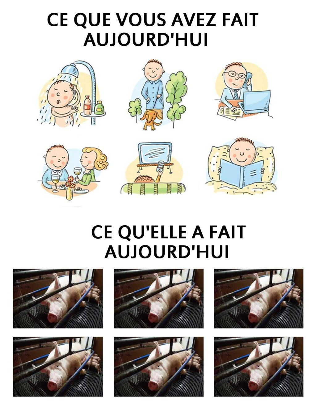 6565191.jpg 6565191.jpg