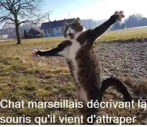 6565714.jpg 6565714.jpg