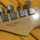 G-5 VG-Stratocaster G-5 VG-Stratocaster