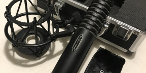 Vends Royer R 101 micro ruban en parfait état