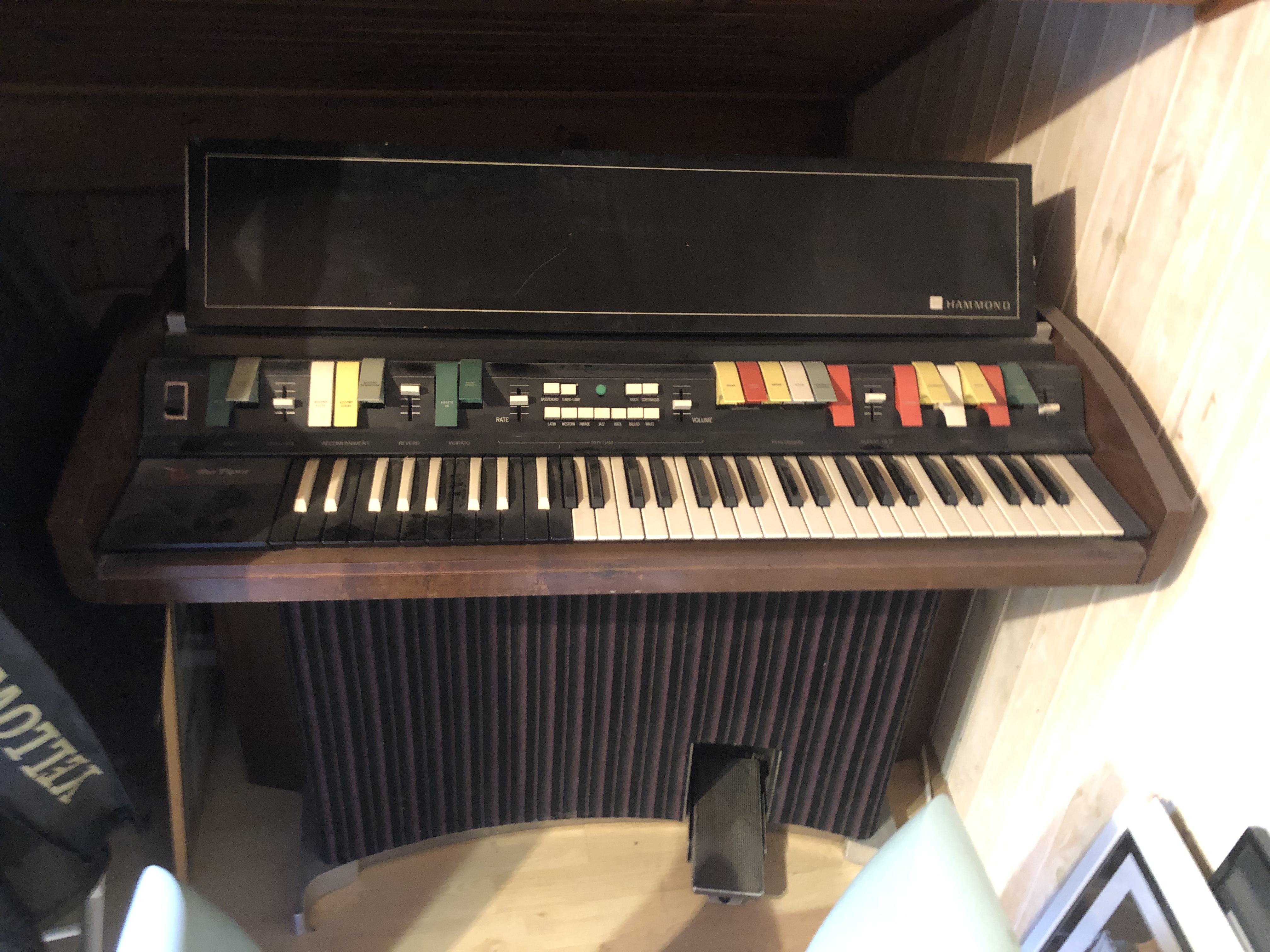 HAMMOND orgue THE PIPER , style doors 