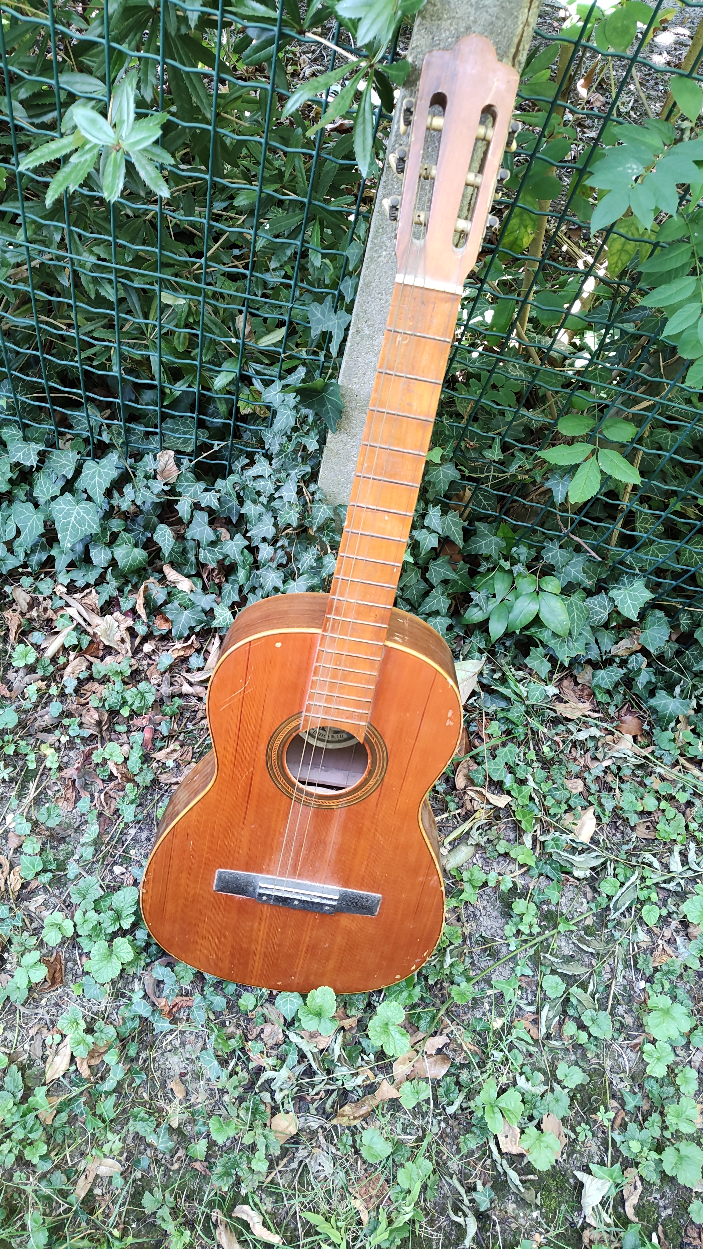 Esteve classique vintage