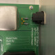ezP-1A Clone ezP-1A Clone