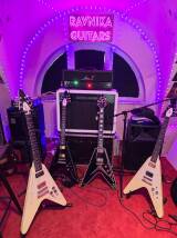 AmS Amplifiers Revenge 50