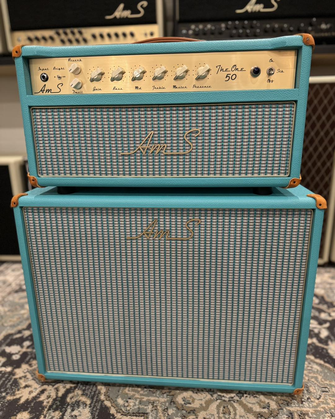 AmS Amplifiers The One 50 Spring Reverb