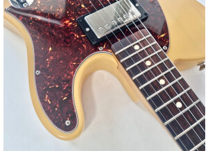 Fender Graham Coxon Telecaster (74840)