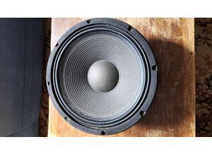 Xxl Power Sound Woofer 12"/30cm 450W PAW-305 (83584)