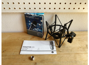 AKG-P420 6203