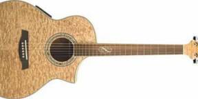 VEND IBANEZ FOLK AW20