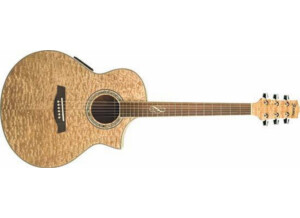 ibanez-ew20ase-12178