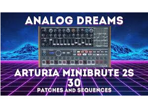 Arturia MiniBrute 2S (6629)