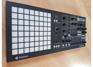 Dreadbox Limited Edition Black Medusa (5400)