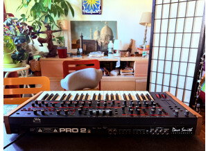 Dave Smith Instruments Pro 2 (58365)