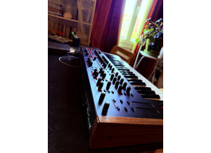 Dave Smith Instruments Pro 2 (36932)