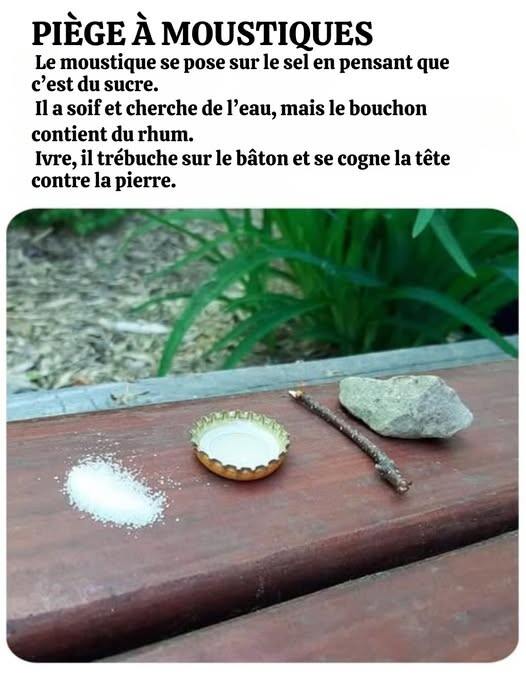 6569132.jpg 6569132.jpg