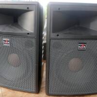 Vds enceintes DAS modèle DS12