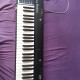 SM2007 String machine SM2007 String machine
