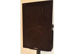 Genelec S 30C (93642)