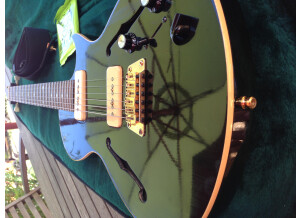 Gibson BluesHawk (13249)