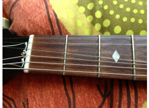Gibson BluesHawk (42946)
