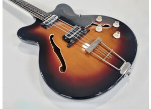 Hofner Guitars 500 (26896)