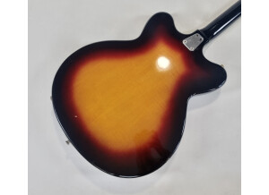 Hofner Guitars 500 (19699)