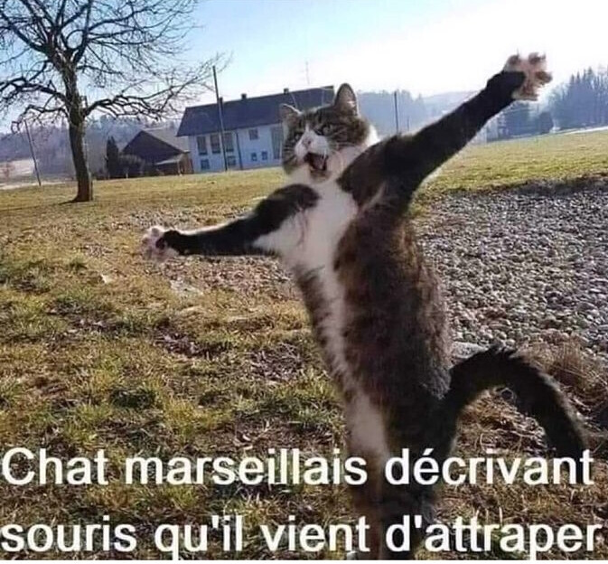 6573765.jpeg 6573765.jpeg