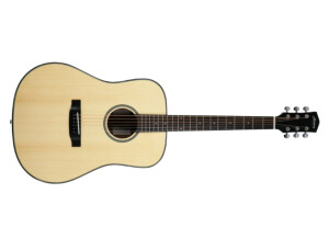 Terra FS Dreadnought