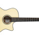 Terra FS GA Cutaway Terra FS GA Cutaway