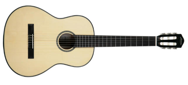 Harmony (String Instruments) Terra FS Classical Natural Gloss : Terra FS Classical Natural Gloss