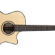 e-Terra ST GA Cutaway e-Terra ST GA Cutaway