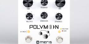 Vends Meris Polymoon