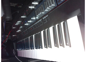 Roland SH-201 (50960)