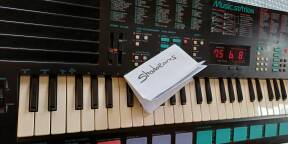 Lot synthés FM vintage PSS-780 et PSS-580