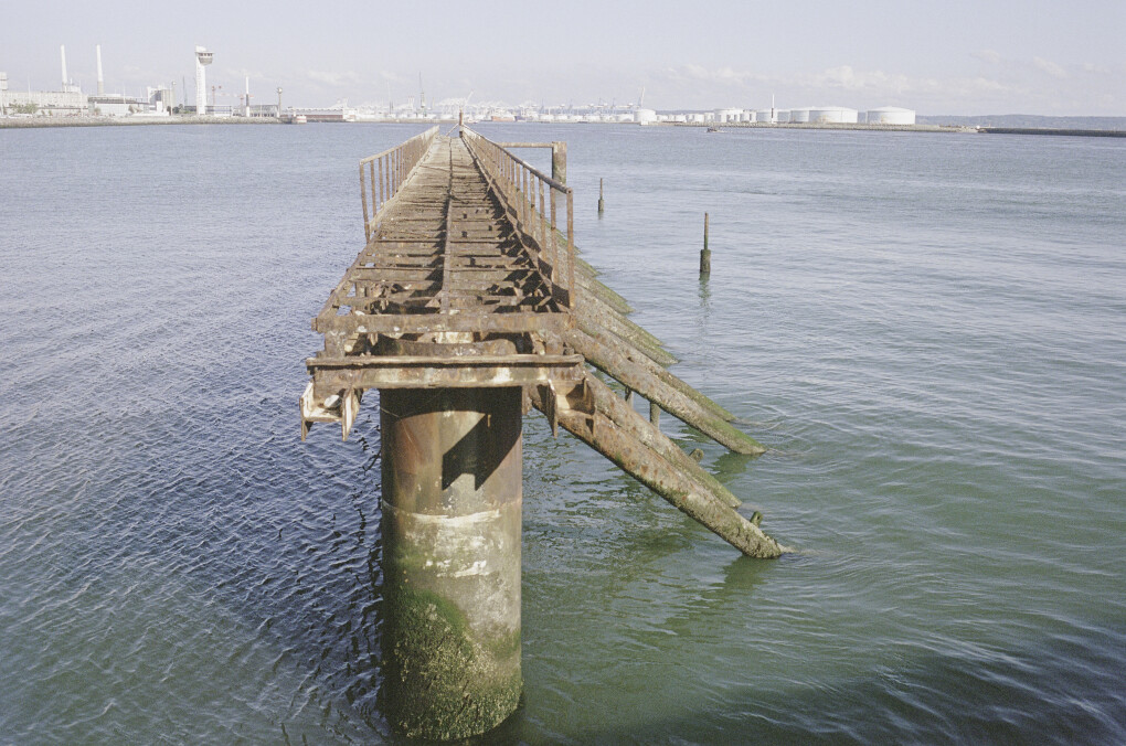 6575844.jpeg 6575844.jpeg