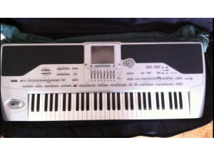 Korg Pa1X (74404)