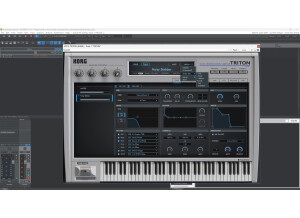 Korg Collection - TRITON (38540)
