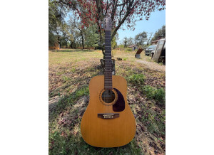 Art & Lutherie Spruce (81124)