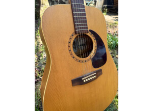 Art & Lutherie Spruce (24989)