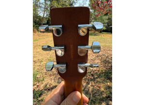 Art & Lutherie Spruce (23654)