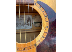 Art & Lutherie Spruce (4493)