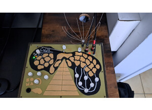 SOMA laboratory Enner (66134)