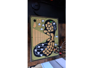 SOMA laboratory Enner (48036)