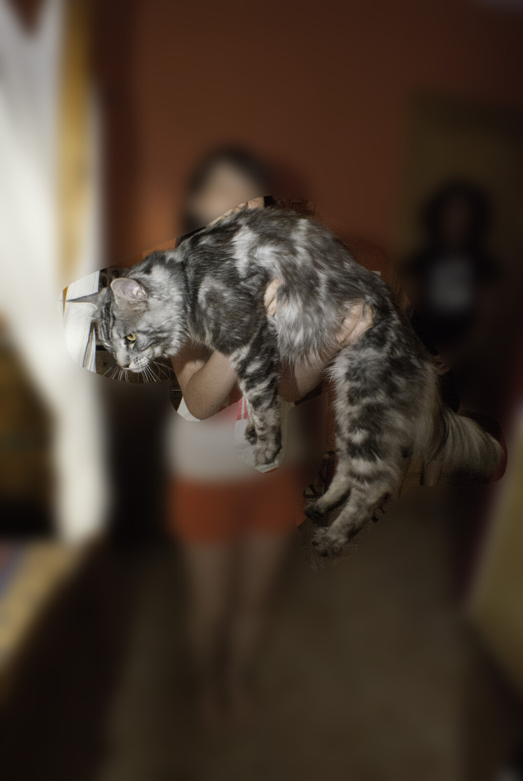 6579223.jpg 6579223.jpg