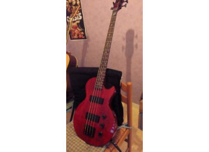 Epiphone Les Paul Special Bass - Trans Red