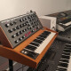 Minimoog Voyager Old School Minimoog Voyager Old School