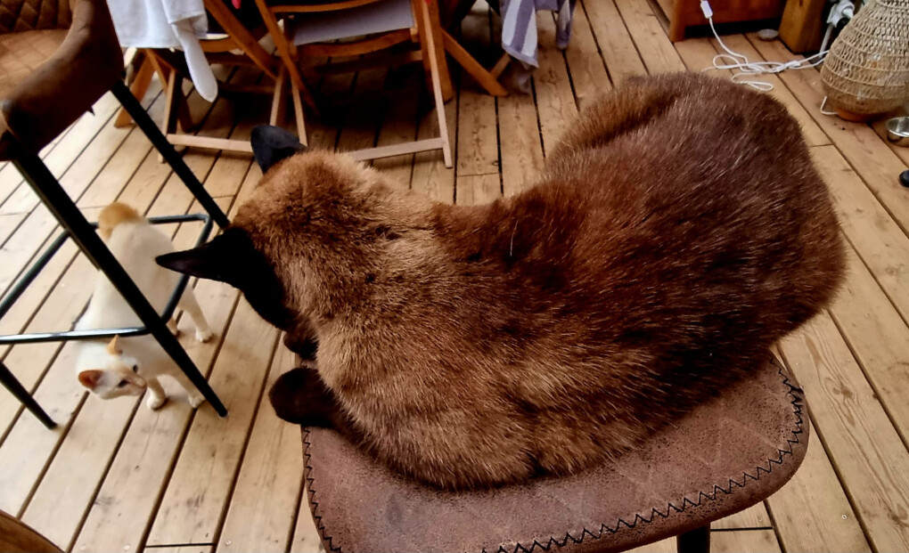 6579408.jpg 6579408.jpg