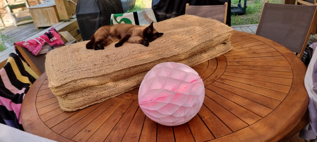 6579409.jpg 6579409.jpg