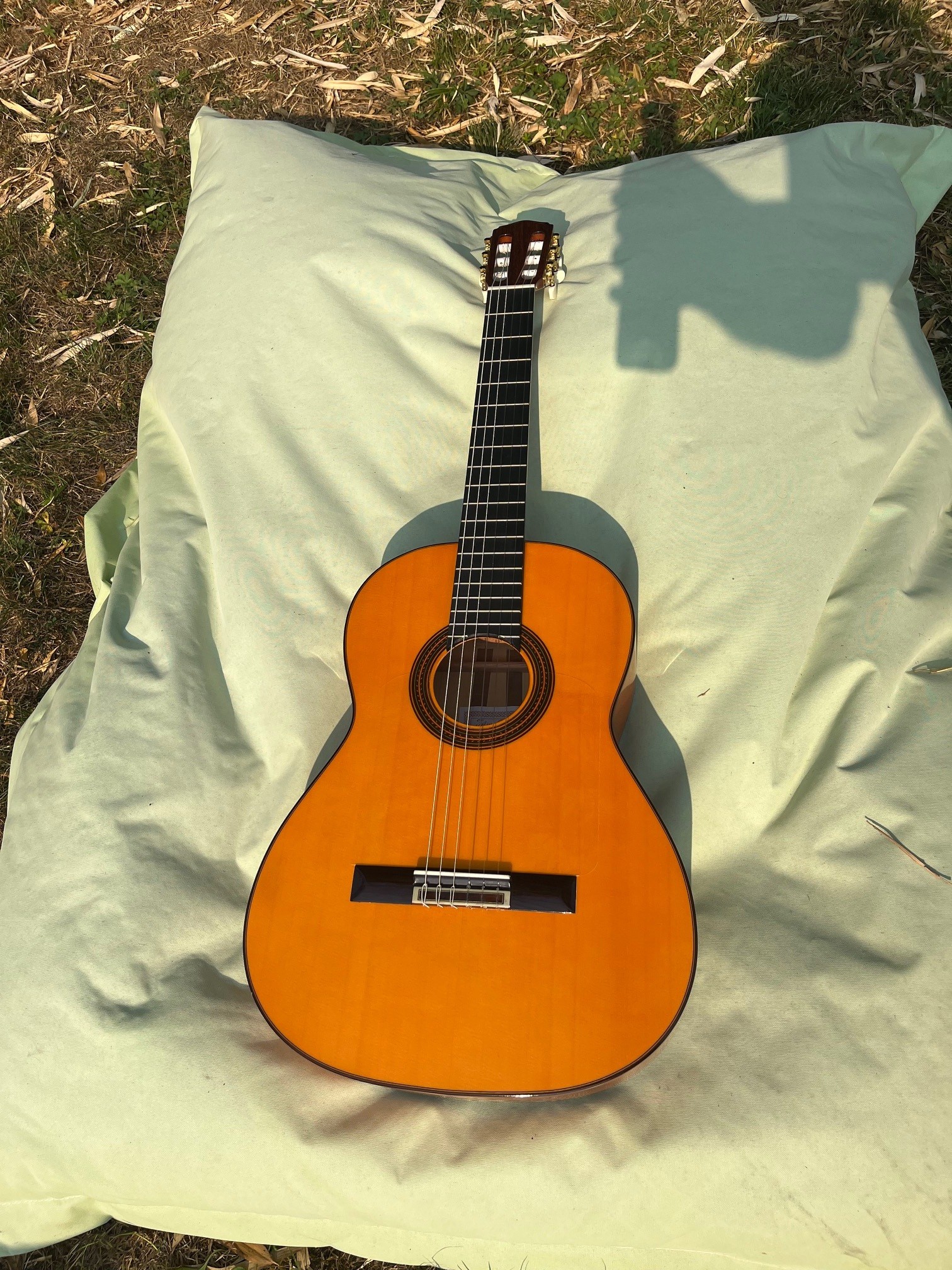 Vends guitare flamenca Felipe Conde FP14 – 2021 – Parfait état + étui rigide