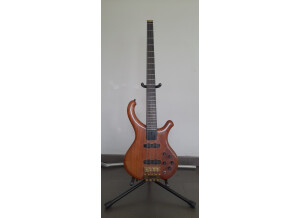 Schack B2 carbon (18043)